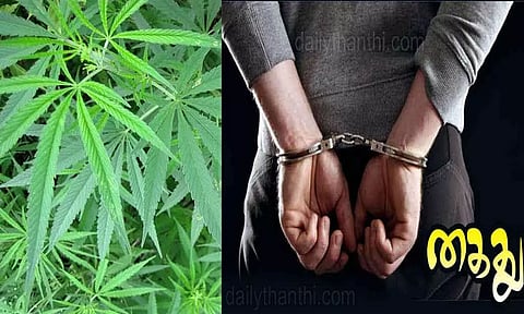 வீட்டில் கஞ்சா செடி வளர்த்தவர் கைது