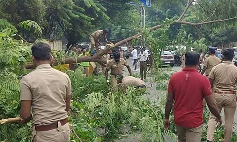 கவர்னர் மாளிகை எதிரில் மரம் முறிந்து விழுந்து பெண் காவலர் காயம்