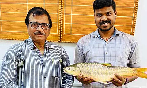 ஒடிசாவில் புதிய வகை கெண்டை மீன் கண்டுபிடிப்பு