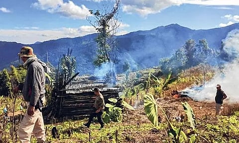 மணிப்பூரில் 55 ஏக்கர் கசகசா பயிர் அழிப்பு - வனத்துறை நடவடிக்கை