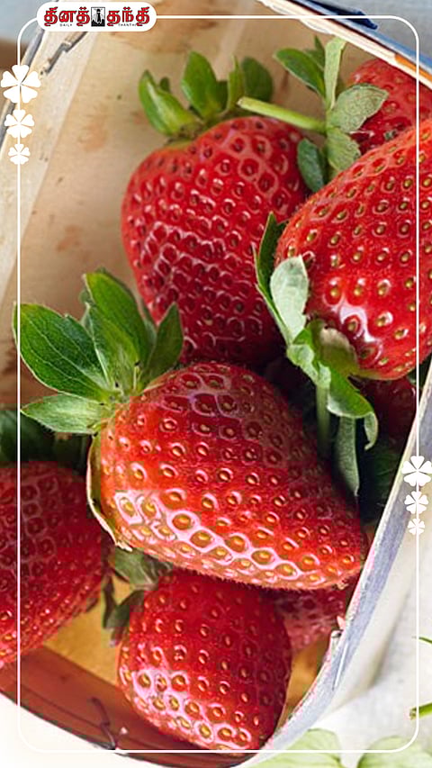 ஸ்டார்களை எண்ண முடியாது.. ஸ்ட்ராபெர்ரியின் நன்மைகளை பெற முடியும்...!!