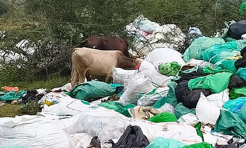 கேரள மருத்துவ கழிவுகளை தமிழகத்தில் கொட்டுவதா? பசுமை தீர்ப்பாயம் கடும் கண்டனம்