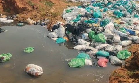 நெல்லையில் கொட்டப்பட்ட கழிவுகள்: கேரள அரசே அகற்ற வேண்டும் - பசுமைத் தீர்ப்பாயம்