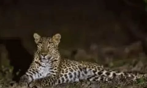 கோப்புப்படம்