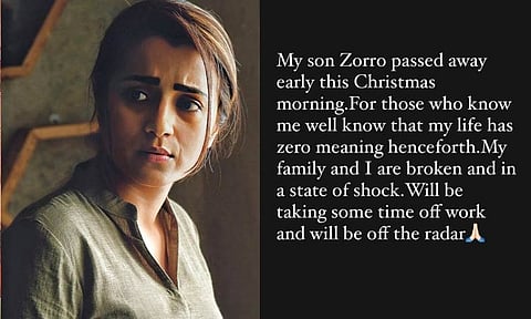 ''என் மகன் இறந்து விட்டான்'' - நடிகை திரிஷாவின் சோகமான பதிவு