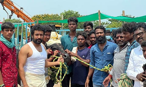 வெற்றிமாறன் இயக்கும் 'வாடிவாசல்' படத்தின் முக்கிய தகவல்