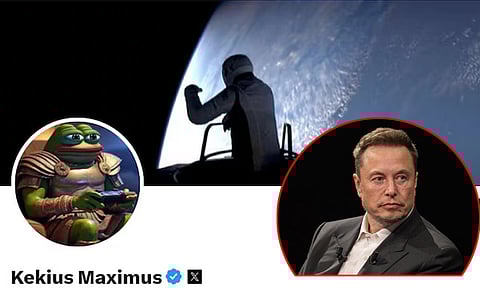 எக்ஸ் சமூக ஊடகத்தில் எலான் மஸ்க்கின் பெயர், புகைப்படம் மாற்றம்