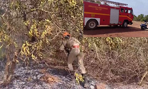 கேரளா: முந்திரி தோட்டத்தில் பயங்கர தீவிபத்து