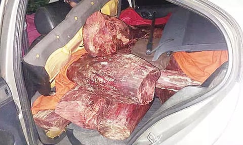 திருப்பதி அருகே காரில் கடத்திய 10 செம்மரக்கட்டைகள் பறிமுதல்