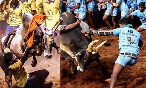 ஜல்லிக்கட்டு போட்டியில் பங்கேற்கும் மாடுபிடி வீரர்களுக்கான முன்பதிவு நாளை தொடக்கம்