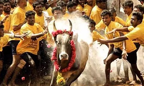 மதுரை: ஜல்லிக்கட்டு போட்டிகளுக்கான ஆன்லைன் முன்பதிவு இன்று தொடக்கம்