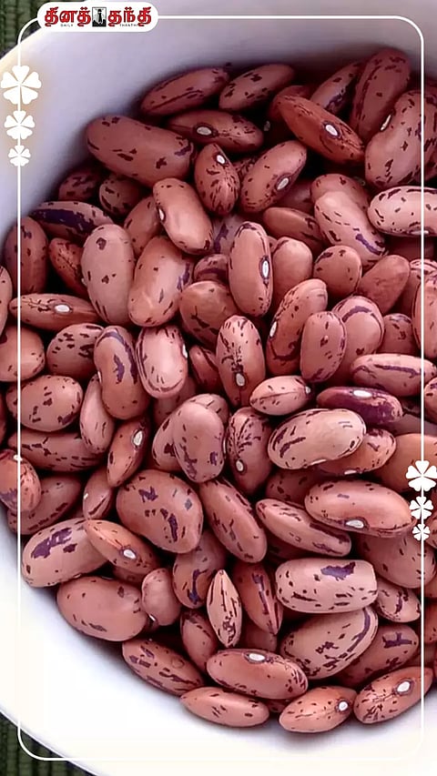 உணவில் ராஜ்மா (கிட்னி பீன்ஸ்) சேர்ப்பதால் கிடைக்கும் நன்மைகள்..!