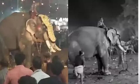 கேரளா: கோவில் திருவிழாவில் பக்தரை தூக்கி, சுழற்றி வீசிய யானை – 17 பேர் காயம்
