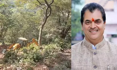 பாதுகாக்கப்பட்ட அரிய வகை மரங்களை வெட்டிய மந்திரி மகன் - வழக்குப்பதிவு