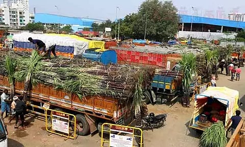 கோயம்பேடு மார்க்கெட்டில் பொங்கல் சிறப்பு சந்தை