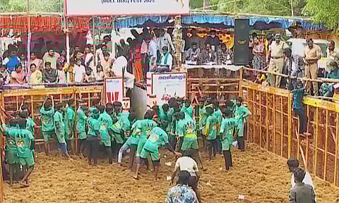 அவனியாபுரம் ஜல்லிக்கட்டு: 9வது சுற்று நிறைவு - 3 பேர் இறுதி சுற்றுக்கு தேர்வு