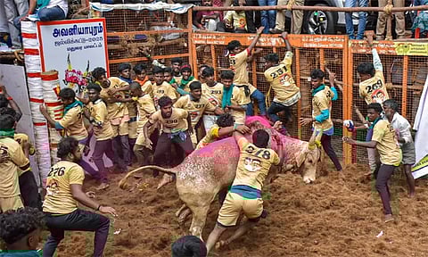 அவனியாபுரம் ஜல்லிக்கட்டு போட்டி நிறைவு