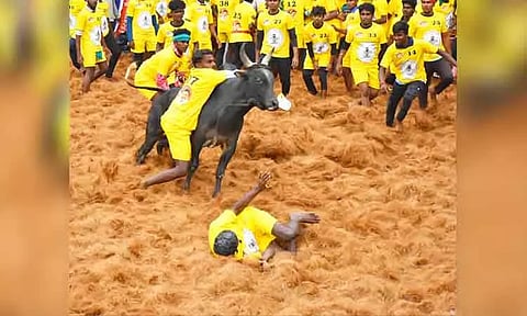 1,100 காளைகள், 910 வீரர்களுடன் விறுவிறுப்பாக நடந்து வரும் பாலமேடு ஜல்லிக்கட்டு