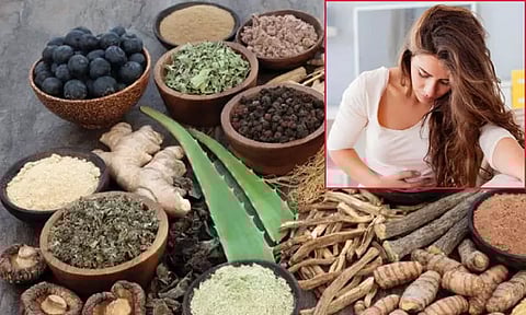 பெண்களுக்கான வெள்ளைப்படுதல் பிரச்சினைக்கு சித்த மருத்துவ தீர்வுகள்