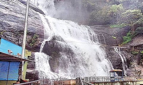 நெல்லை, தூத்துக்குடியில் மழை: குற்றால அருவிகளில் வெள்ளப்பெருக்கு