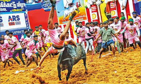 அலங்காநல்லூர் ஜல்லிக்கட்டு போட்டியில் காயம் அடைந்த மேலும் ஒருவர் உயிரிழப்பு