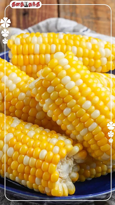 தினமும் ஒரு கைப்பிடி அளவு மக்காச்சோளம் சாப்பிடுவதால் ஏற்படும் நன்மைகள்..!