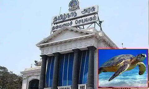 கடல் ஆமைகளின் இனப்பெருக்கம் கண்காணித்து பாதுகாக்கப்படும் - தமிழ்நாடு அரசு அறிவிப்பு