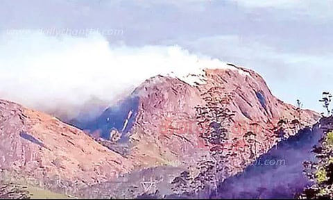 மூணாறு வனப்பகுதியில் காட்டுத்தீ பரவாமல் தடுக்க நடவடிக்கை