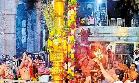 திருப்பரங்குன்றம் முருகன் கோவிலில் தெப்பத்திருவிழா