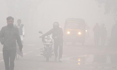 டெல்லியில், கடந்த 56 நாட்களில் குளிருக்கு 474 பேர் பலி