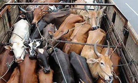 கோப்புப்படம்