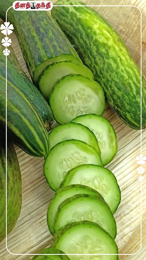 வெயிலுக்கு ஏற்ற வெள்ளரிக்காய்..!