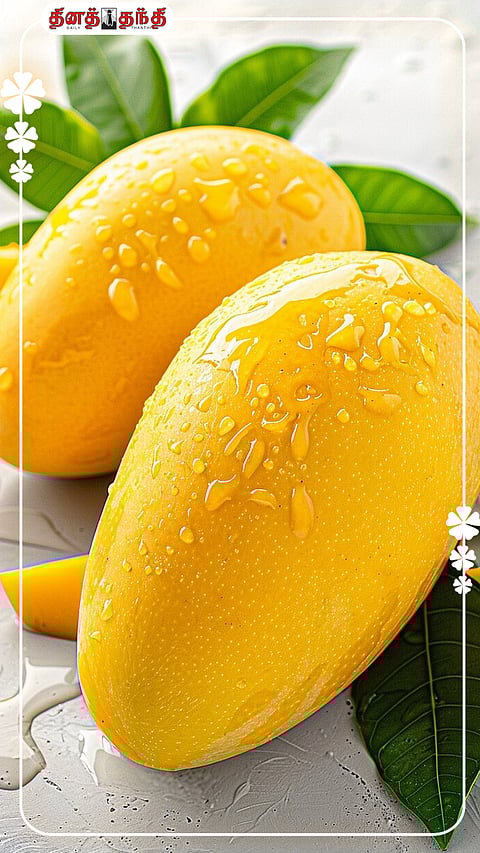 பழங்களின் ராஜா என்று அழைக்கப்படும் மாம்பழத்தின் நன்மைகள்!