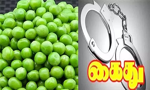 பச்சை பட்டாணி இறக்குமதி மோசடி - 5 பேர் கைது