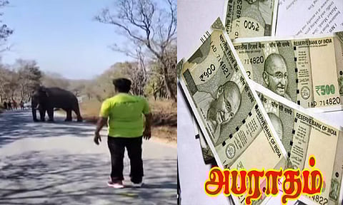 யானையை சீண்டியவருக்கு ரூ.25 ஆயிரம் அபராதம்