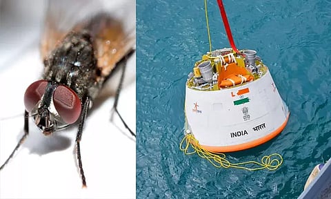 கோப்புப்படம்