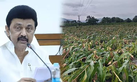 பெஞ்சல் புயல் பாதிப்பு - ரூ.498.80 கோடி ஒதுக்கீடு