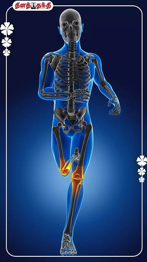 எலும்பு தேய்மானத்தை தடுக்க உதவும் ஊட்டச்சத்துக்கள் பற்றி தெரியுமா?