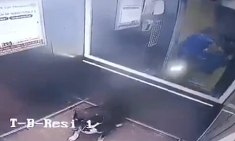 நாயை லிப்ட்டுக்குள் கொண்டு வர வேண்டாம் என்று கூறிய சிறுவனை தாக்கிய பெண்