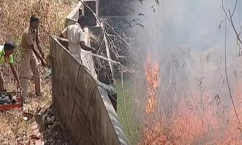 கன்னியாகுமரி: மேற்கு தொடர்ச்சி மலையில் காட்டுத்தீ - கல்லூரிக்கு விடுமுறை