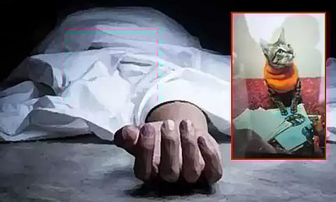 செல்ல பூனை இறந்த துக்கம்... 2 நாட்கள் காத்திருந்து தற்கொலை செய்த இளம்பெண்