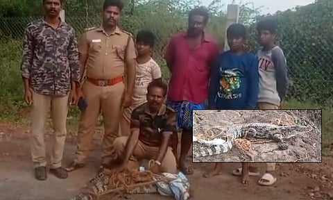 கடலூர்: கோவில் குளத்தில் புகுந்த முதலையை மீட்ட வனத்துறையினர்