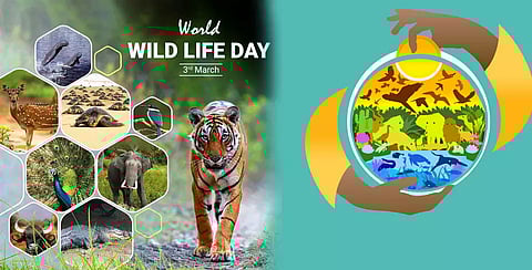 இயற்கையை பாதுகாக்க உறுதியேற்போம்..! இன்று உலக வனவிலங்குகள் தினம்