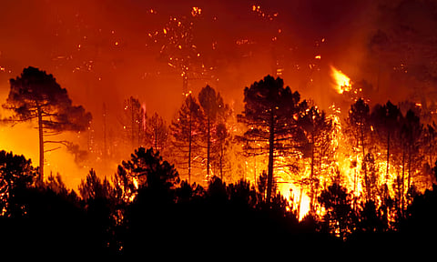 ஜப்பானில் பற்றியெரியும் காட்டுத்தீ: பாதுகாப்பான இடங்களுக்கு மக்கள் வெளியேற்றம்