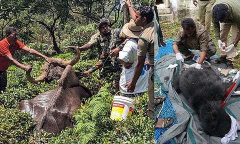 தமிழக வனத்துறையில் 23 கால்நடை மருத்துவப் பணியாளர் பணியிடங்கள்: முதல்-அமைச்சர் ஒப்புதல்