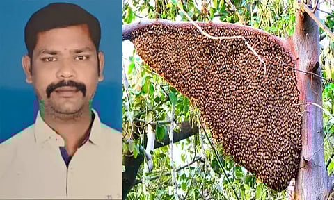வேலூர்: தேனீக்கள் கொட்டியதில் ஒருவர் உயிரிழப்பு