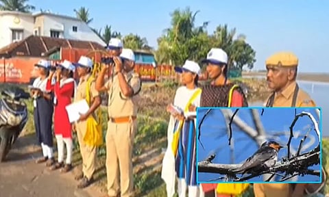 நெல்லையில் பறவைகள் கணக்கெடுப்பு பணி தொடக்கம்