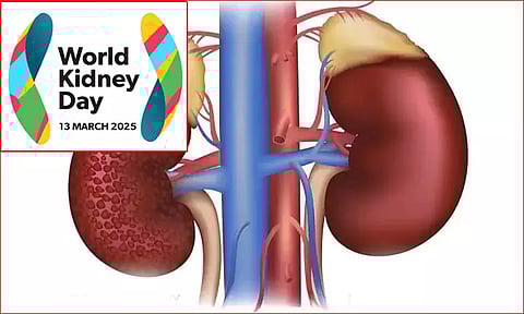 இன்று உலக சிறுநீரக தினம்..!