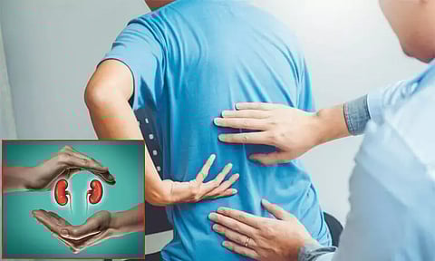 இன்று உலக சிறுநீரக தினம்: சிறுநீரக நோயாளிகள் கவனிக்க வேண்டிய முக்கிய விஷயங்கள்