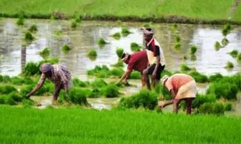 ஆதி திராவிட பழங்குடியின வகுப்பைச் சேர்ந்த விவசாயிகளுக்காக புதிய திட்டம்